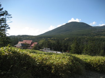 麦草峠