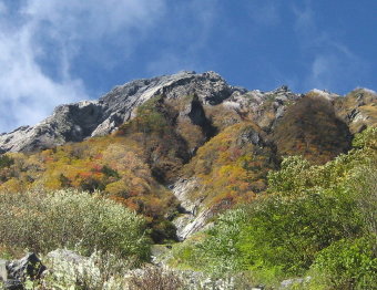 北岳直下の紅葉