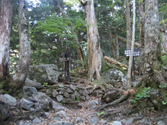 大樺沢と白根御池の分岐