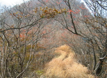 鍵掛峠へ