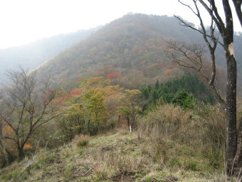 伊勢沢ノ頭へ