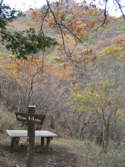 大山三峰山直下