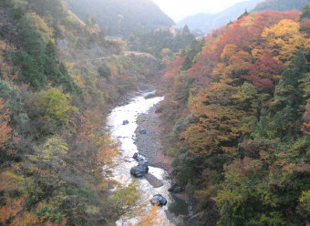 渓谷の紅葉