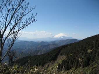 富士山