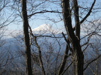 富士山