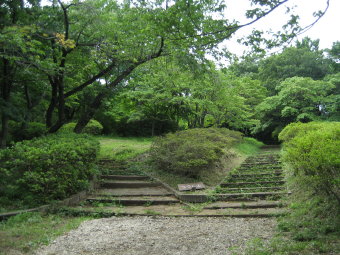 つつじ山