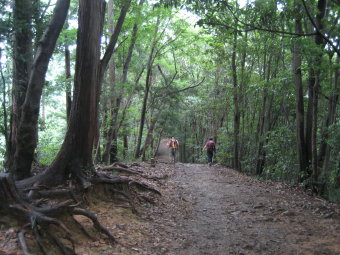 稲荷山コース