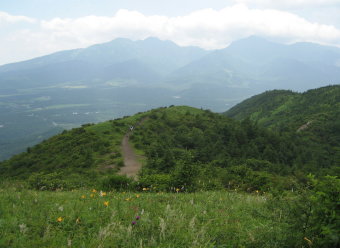 草花の稜線