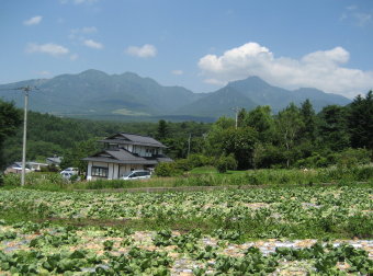 八ヶ岳