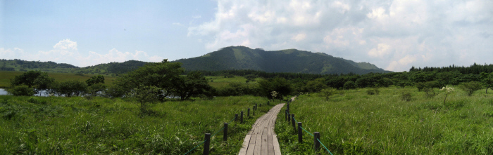 八島ヶ原湿原の木道