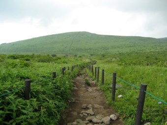 蝶々深山へ