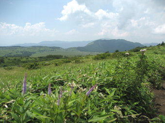 物見岩へ