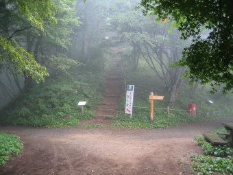 レンゲショウマ群生地　看板