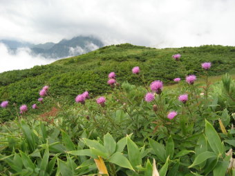 遠見尾根方面