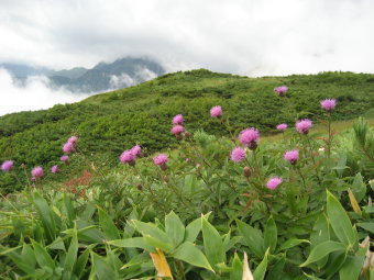 遠見尾根方面