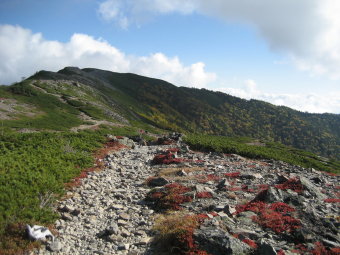 蝶ヶ岳方面