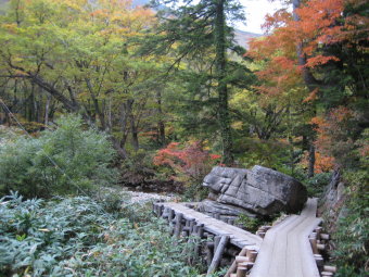 鳩待峠～山ノ鼻