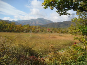 東電小屋からみる至仏山