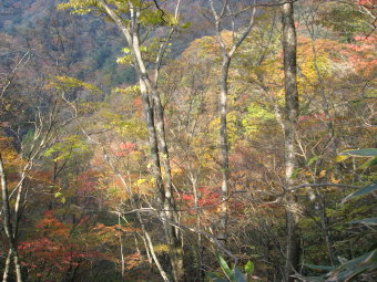 一瞬の日差し