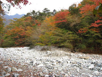 ゴーラ沢出合