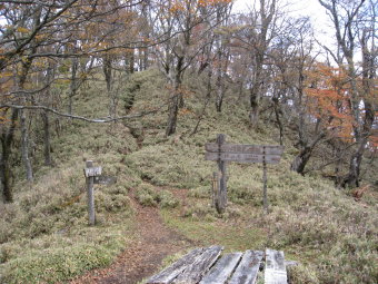 熊笹ノ峰の下