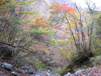 書策新道の紅葉