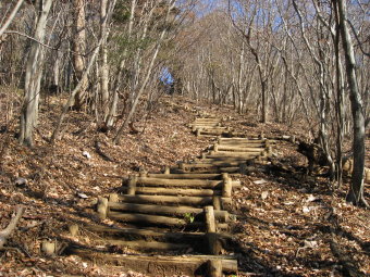 革籠石山