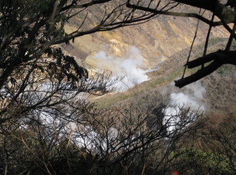 冠山からみる大涌谷