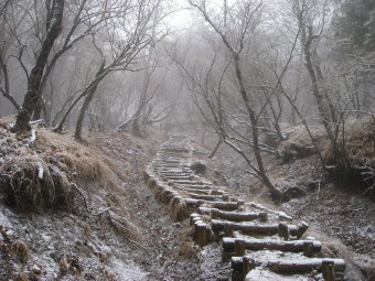 大倉尾根