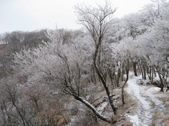 鍋割山荘が見える