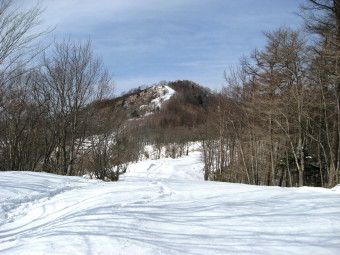 鷹ノ巣山を振り返りつつ