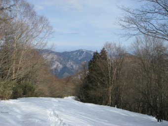 川苔山を見ながら