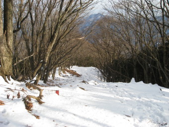 大岳山を見ながら