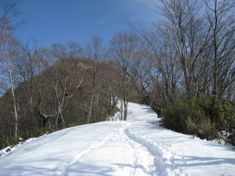 鷹ノ巣山へ