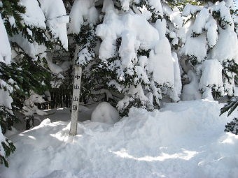 中山　山頂