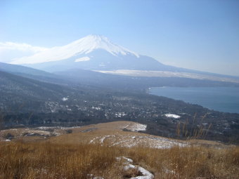 ススキの原