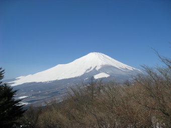 富士山