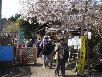 城山かたくりの里