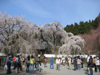 清雲寺