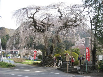 長泉院