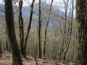 武甲山