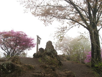 伊豆ヶ岳