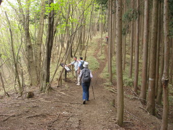 中登坂