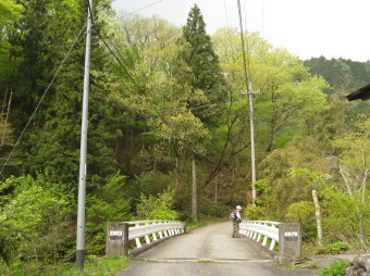 蕨入橋