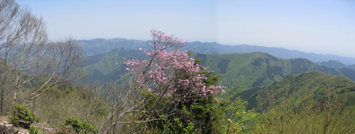 武川岳～伊豆ヶ岳