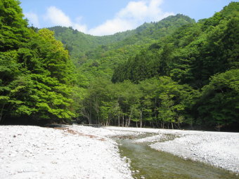 西沢の河原