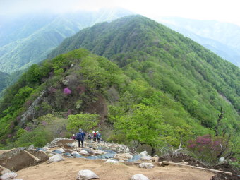 熊笹ノ峰へ