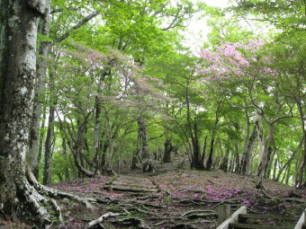 石棚山稜