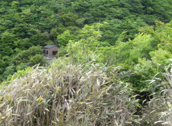 犬越路の避難小屋