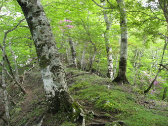 石棚山稜